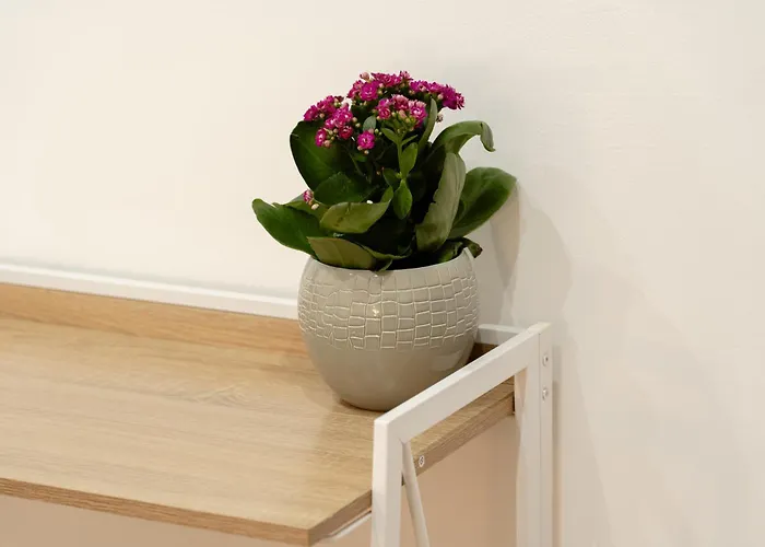 Orfeo Bed & Breakfast