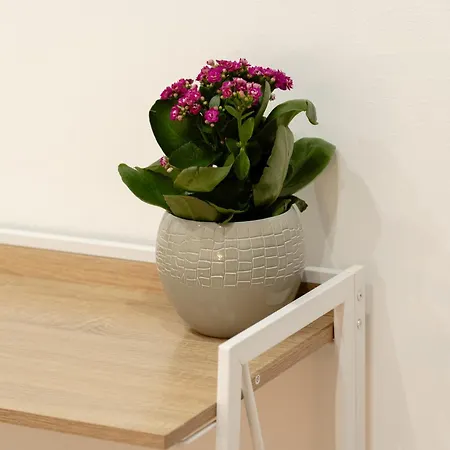 Orfeo Готель типу 